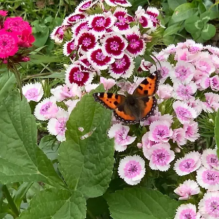 Atelier 1786 Alojamento de Acomodação e Pequeno-almoço *