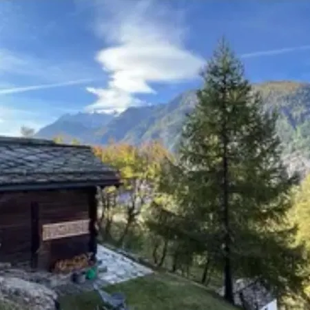 Alojamento de Acomodação e Pequeno-almoço Atelier 1786