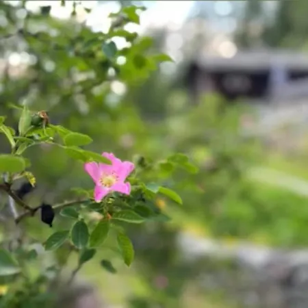 Alojamento de Acomodação e Pequeno-almoço Atelier 1786 *