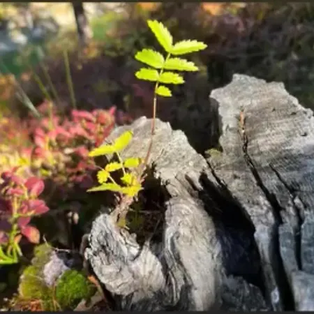 Alojamento de Acomodação e Pequeno-almoço Atelier 1786 Staldenried