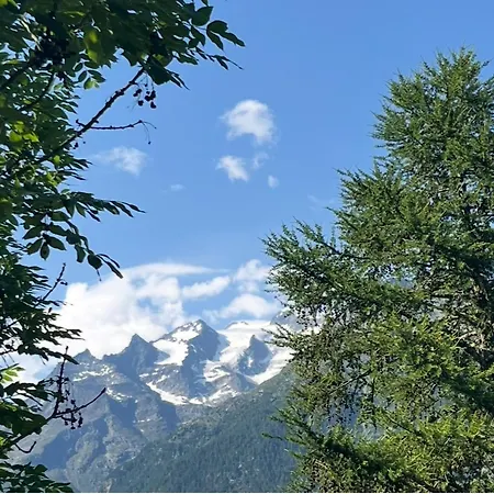 Atelier 1786 Alojamento de Acomodação e Pequeno-almoço *