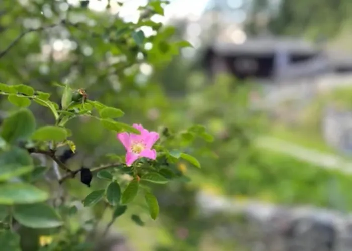 Bed & Breakfast Atelier 1786 *