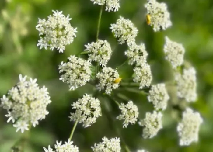 Atelier 1786 Bed & Breakfast Staldenried