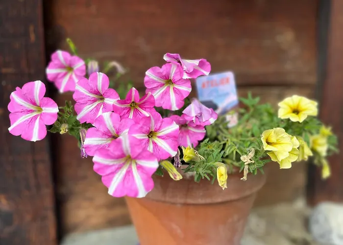 Atelier 1786 Staldenried