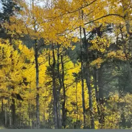 Bed & Breakfast Atelier 1786 *