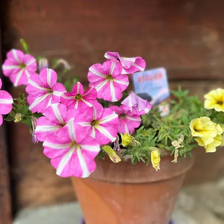 Atelier 1786 Staldenried